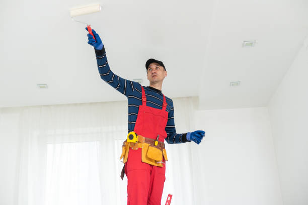 Mold Odor Removal Services in Glen Lyon, PA