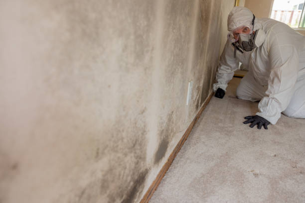 Biohazard Mold Removal in Glen Lyon, PA